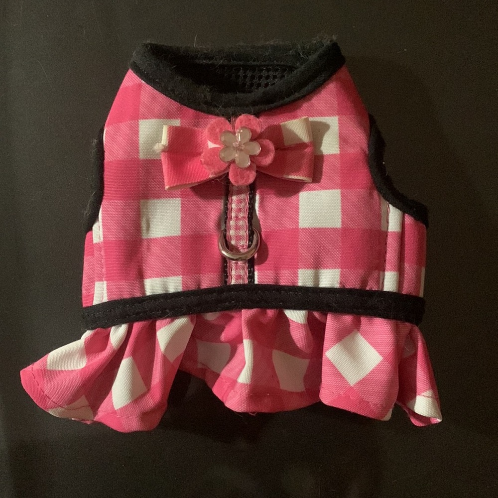 Cute outfit - Picture 4 of 5